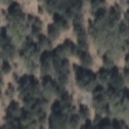 3171 ELK SPRINGS DR, GLENWOOD SPRINGS, CO 81601