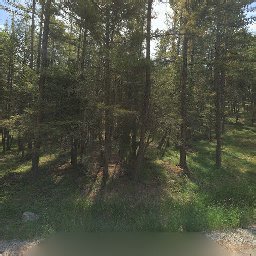 225 NEWSOM LN, KALISPELL, MT 59901