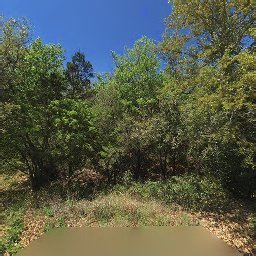 1310 MINNIE DR, AUSTIN, TX 78732