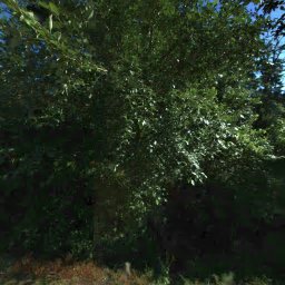 7380 SW NORWOOD RD, TUALATIN, OR 97062
